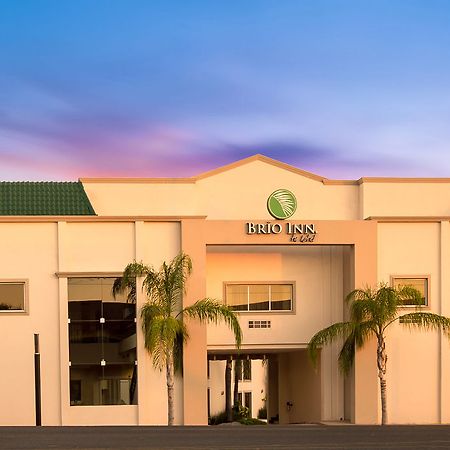 Hotel Brio Inn Ciudad Victoria Extérieur photo
